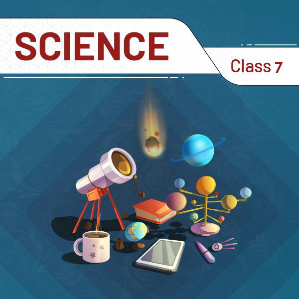 Science And Technology (Class 7) @ 1 Year
